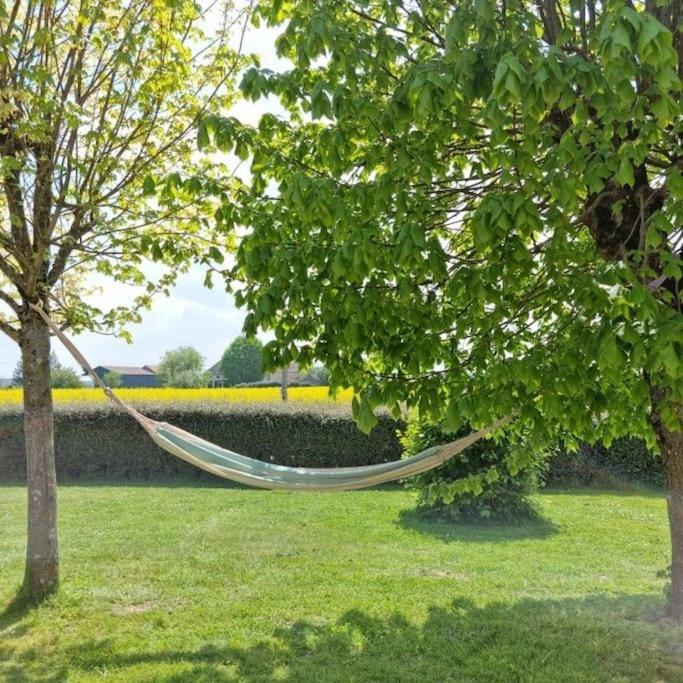 Grande Maison De Plain Pied Avec Jardin Arbore. Champignelles Εξωτερικό φωτογραφία