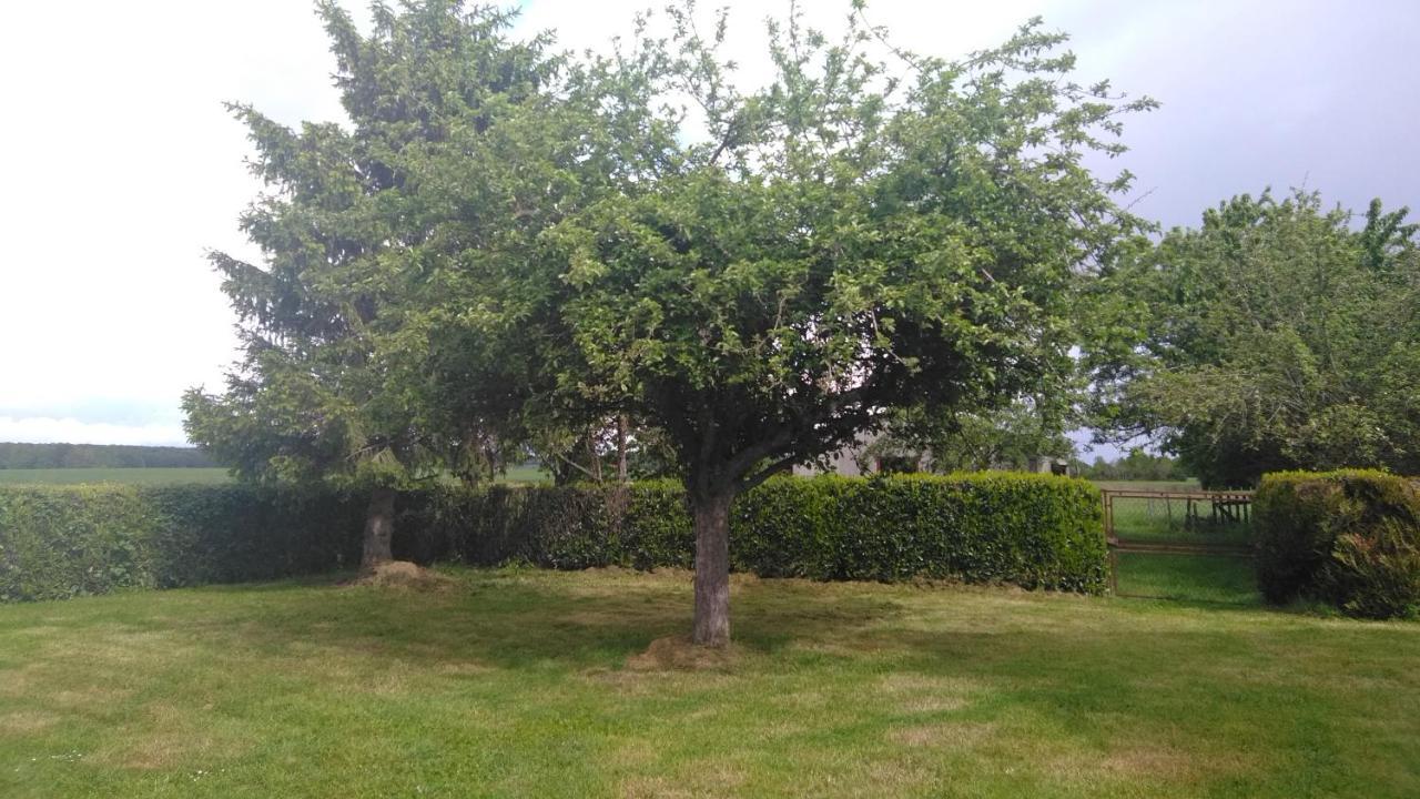 Grande Maison De Plain Pied Avec Jardin Arbore. Champignelles Εξωτερικό φωτογραφία